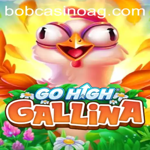Exploring the Dynamic World of GoHighGallina